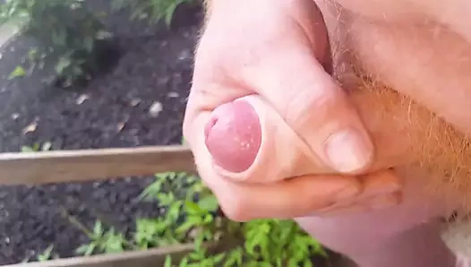 Redhead horoz boşalmak dışında