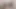 Deneyimli kaltak acemiyi test ediyor