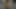 Azgın hatun sert yarağı bal deminde sert sikmeyi seviyor