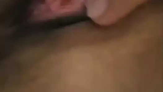 Taylandlı tatlı olgun kedi