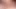 Redhead amber ivy sikikleri bir büyük siyah horoz üzerinde döküm