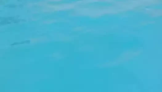 benim seksi karısı açık