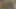 Video 41
