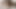 Kedi dövüşü: çıplak kızlar