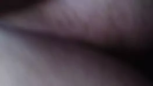 Sulu eşek ve kedi ile köpek stili