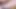 Amatör striptiz gösterisi yaramazlık yapıyor