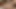 Japon büyük seksi 5