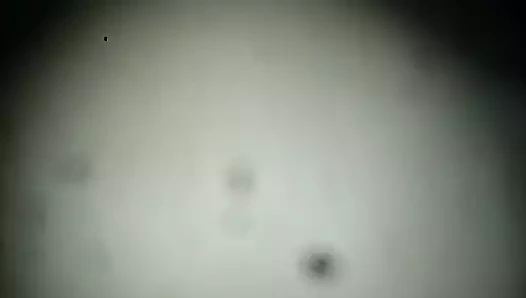 solo por el ano