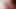 Brown and white BBW sluts deepthroat gagging on double ended dildo