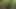 Fuck and Suck BIG Tits Stranger in Woods