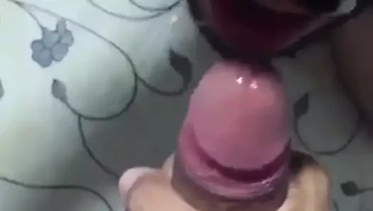 gurita içinde sperm