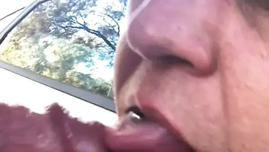 Sıcak horoz tarafından the araba tekrar