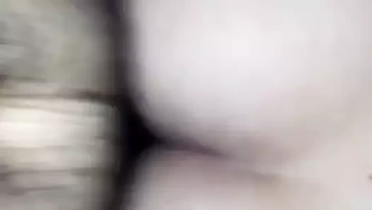 Çinli anal