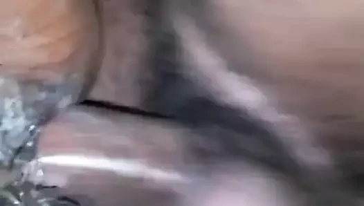 Bronz horoz ve gümüş kedi ile kış