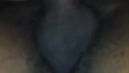 Misty ve ona yeni bbc arkadaş