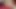 Süper sıska Asya teenie Creampie