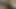 Daha fazla çatı yetiştiriciliği
