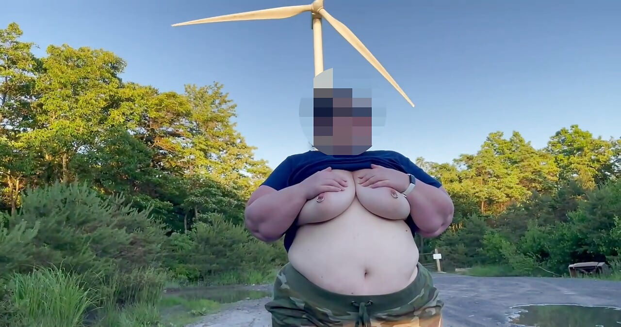 The Wind Farm'da