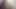 Öğrencilerimin dersten sonra amımı yalamalarını seviyorum