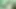 Stacxxxs sunar: Greenlight Special - Amber Lee