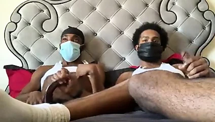 Quarantine Bators