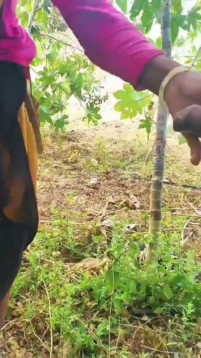 Desi outdoor sex video in hindi audio xxx video, viral bhabhi ki desi chudai | Clip 2