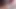 Bunny eared babes steamy grup seks partisinde yarak yutuyor