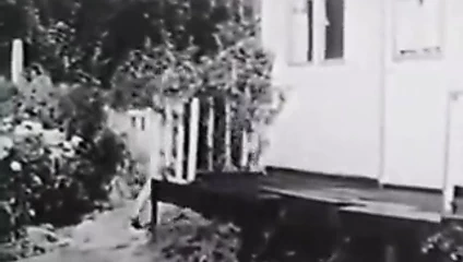 Margaret Nolan, Vera Novak. bağbozumu natürist klip