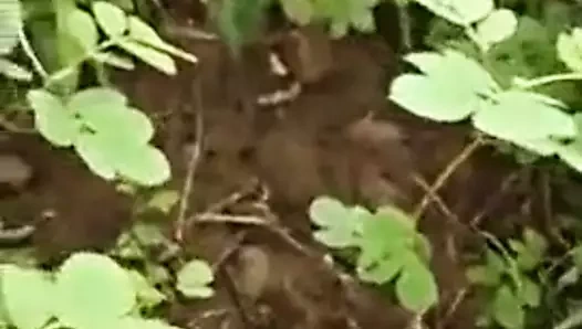 Hindu teyze ve Müslüman adam