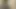 Vintage retro alman amatör - günlük porno dozunuz