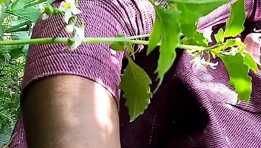 Rani Behen Ki Raat Habas Mitai