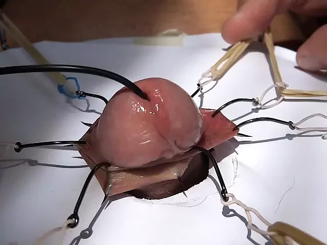 игра с большой плотью