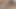 amatör abanoz KEDİ 1
