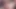 Dört lezbiyen büyük dildo ve takma yarakla durmadan birbirlerini sikiyor