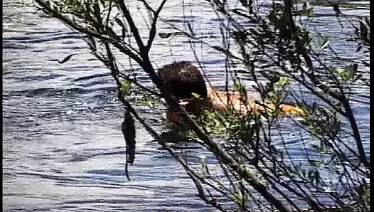 Ormandaki savaşçı, sıcak seks oyunları için yakışıklı bir azgın delikanlının hayalini kuruyor