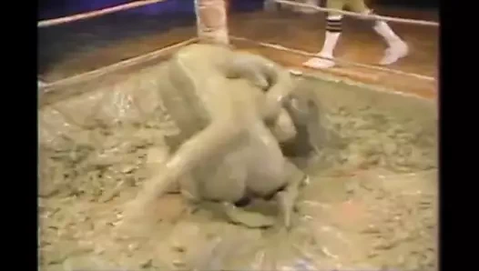 Renee vicary vs denise schreyer