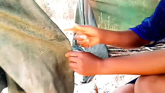 Sadece köy mutfağında