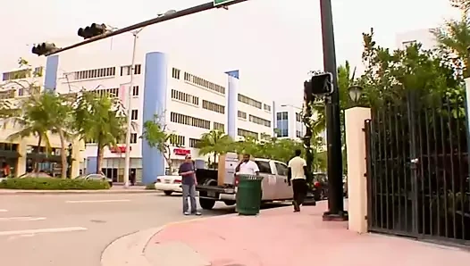 Pis bir fahişe için mükemmel bir aygır!!!