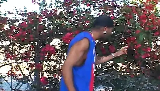 Devlerin siyah etli beyaz ikramı 4 - bölüm 5