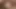 Asılı öğrenci Mastürbasyon önce cumshot