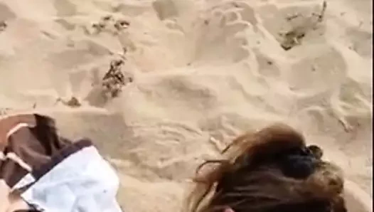 levrette a la plage