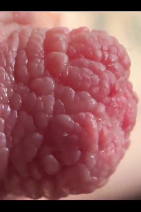 Meme uçlarımda aşırı yakın çekim oynuyor