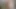Travesti sürtük fahişe 161