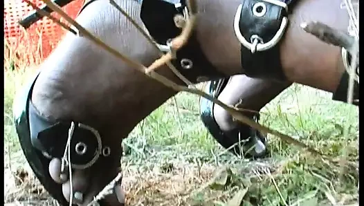 Yaşlı domuzla abanoz kaltak! (tam film)