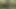 Yeni önlük eteğim