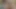Omapass sıcak koleksiyondaki bazı videoları derliyor