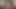 At kuyruklu genç, bf'nin adım annesinin amını deliyor