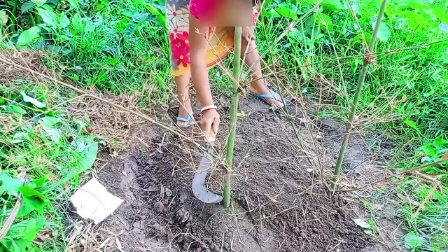 ▶️Lokal bhabhi and me outdoor sex