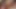 Bree olson sadece kıçından o siyah horoz istiyor