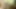 Beni büyük zenci yarağıyla sikişirken izle döl geri sayım